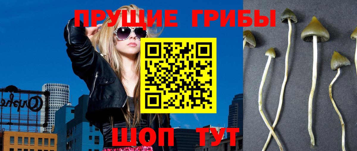 Галлюциногенные грибы мицелий Нефтекумск