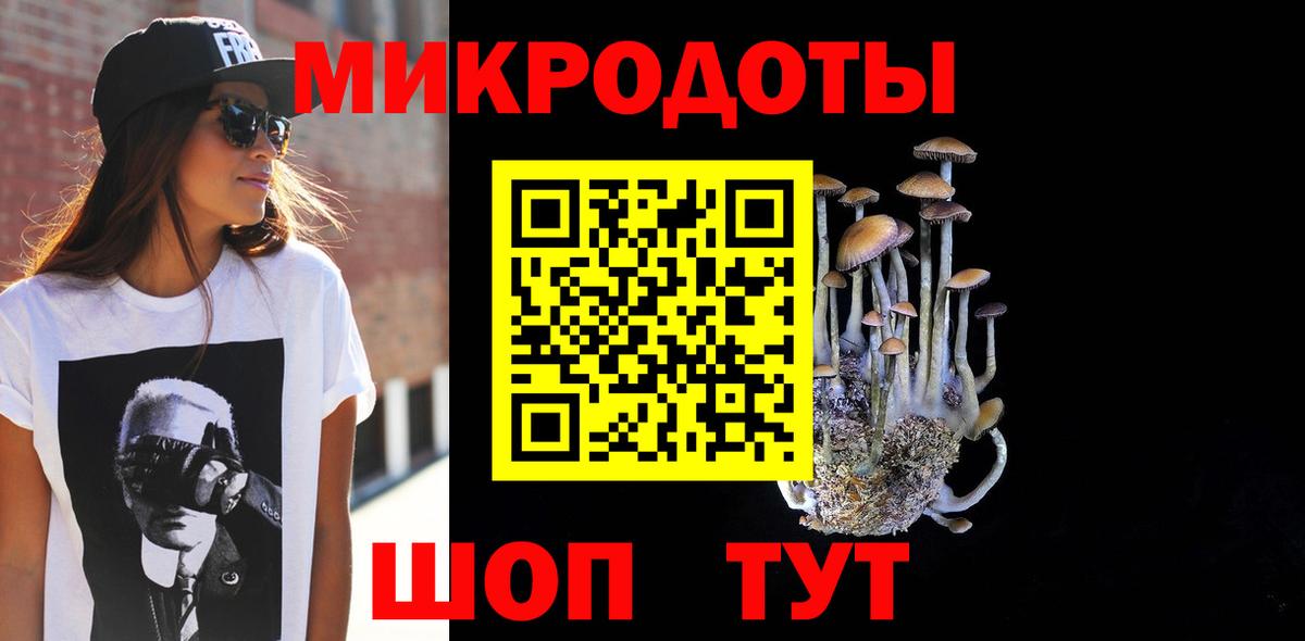 Нефтекумск  Псилоцибиновые грибы GOLDEN TEACHER  Галлюциногенные грибы GOLDEN TEACHER  наркошоп  Вход с VPN 
